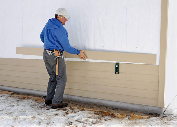 Best Siding Removal and Disposal  in Momence, IL