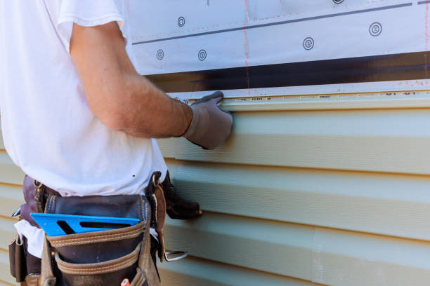 Best Aluminum Siding Installation  in Momence, IL